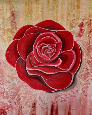 WhatsApp-Bild-2025-07-07-um-19.03.52_62b1dccax