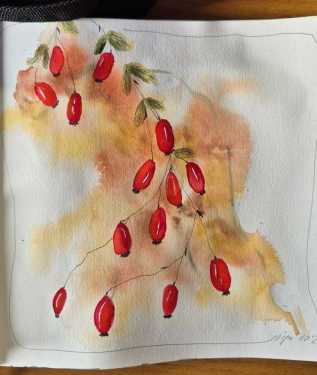 IMG-20251025-WA0010