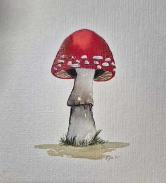 WhatsApp-Image-2026-02-11-at-21.20.00-4